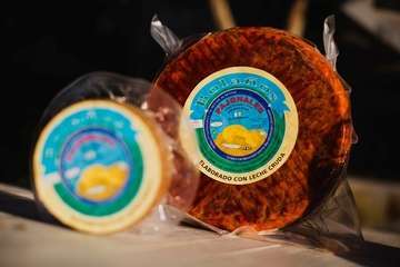 IV Cata Solidaria de Vinoteca San Juan (Foto TA)